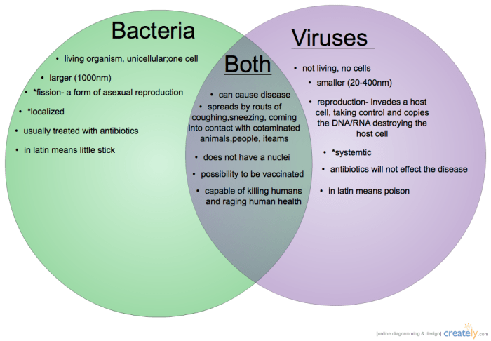 Bacteria and virus comparison worksheet