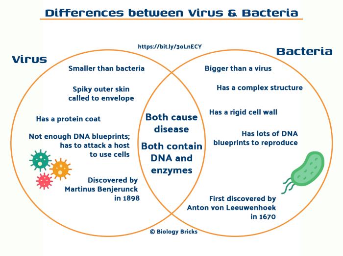 Worksheet bacteria virus least give examples excel db