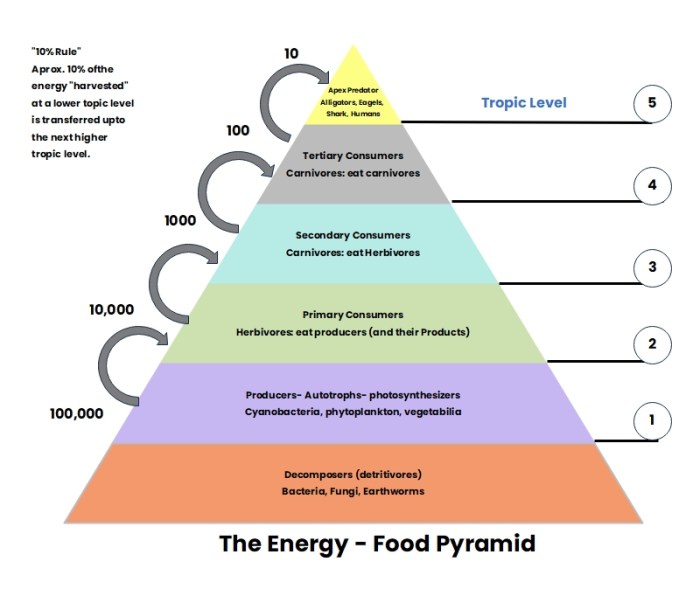 Energy pyramids tying it all together