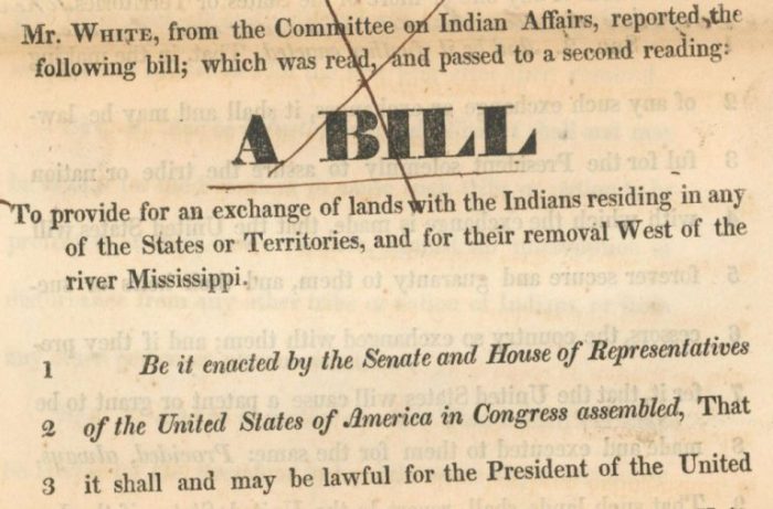 Democracy sovereignty and the struggle over cherokee removal