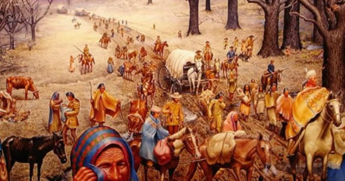 Democracy sovereignty and the struggle over cherokee removal